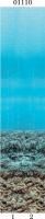 Панель ПВХ PANDA Подводный мир фон 01110 (из 2х панелей), 2700*8*250мм, (ДК), (Под заказ)