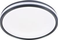SVK.Светильник настенно-потолочный 63031/500 RGBWH+SL ECO SP LED 81W, Max 3000-6000К
