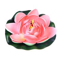 INBLOOM.Лилия декоративная для пруда 10см, 12 цветов (301)