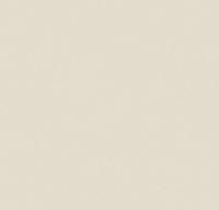 Обои флизелиновые ИНДУСТРИЯ Коллекция Shape Декор 1,06*10,05 9055-13, (ДК)