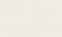 Обои флизелиновые HOMECOLOR Коллекция Lino Фон HC72561-18, (ДК)