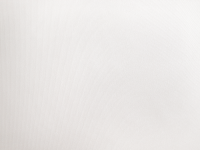 Обои флизелиновые ЭЛИЗИУМ Коллекция Бенто Фон 1,06*10,05м 303508, (ДК)