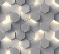 Обои флизелиновые АСПЕКТ Коллекция Гексагон  1,06*10,06м 70669-41, (ДК)