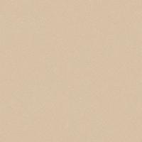 TARKETT.Линолеум Акцент Про Аспект 5, 4м/2мм/0,7мм, (ДК)