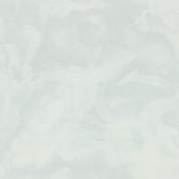 Обои флизелиновые ЕВРОДЕКОР Коллекция Floravento фон светло-серый 1,06*10м 7325-24, (ДК)