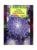 Семена Астра Боретта лавандовая