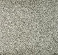 Линолеум TARKETT Спринт Про Аризона 1 3,0м/1,8мм/0,4мм, (ДК), (Под заказ)