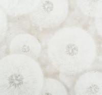 Обои флизелиновые АРТЕКС Коллекция Вальс 1,06м*10,05м 11039-02, (ДК) (200)