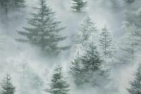 Обои флизелиновые HOMECOLOR Коллекция Ultrachrome 3 1,06*10,06м HC72551-71, (ДК)