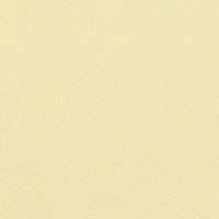 Обои флизелиновые ЭЛИЗИУМ Коллекция Концепт Неон Фон 0,53*10,05м 908804, (ДК)
