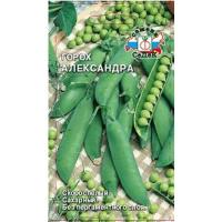 Семена Горох Александра