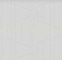 Обои флизелиновые ПАЛИТРА Коллекция TREND Lines 10,05x1,06м TC72376-14, (ДК)