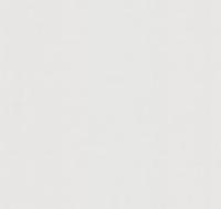 Обои флизелиновые HOME COLOR Коллекция Самер Тайм 10,05x1,06м HC71822-14, (ДК)