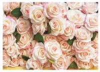 Фотообои бумажные Bellissimo "Роскошные розы", 8 листов 2800х2000мм, (ДК)