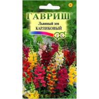 Семена Львиный зев карликовый смесь