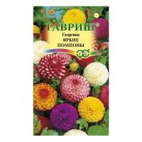 Семена Георгина Яркие помпоны