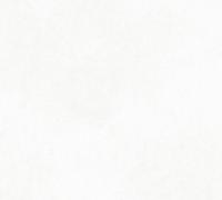 Обои флизелиновые ПАЛИТРА Коллекция Моника 10,05x1,06м 70609-15, (ДК)