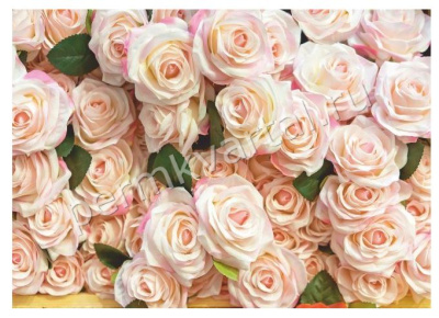 Фотообои бумажные Bellissimo "Роскошные розы", 8 листов 2800х2000мм, (ДК)