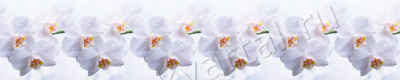 КОМФОРТ.Фартук ПВХ Голубая орхидея, 2000х600х1,2мм