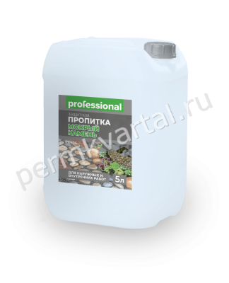 Пропитка защитная PROFESSIONAL Мокрый камень 5 л