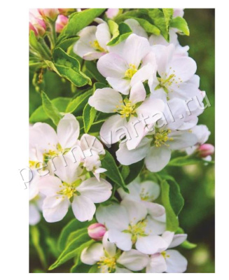 Фотообои бумажные Bellissimo Волшебная яблоня, 4 листа, 1400х2000 мм, (ДК)