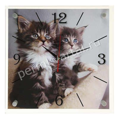 Часы настенные, серия: Животный мир Котята, 35х35см, (ДК)