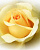Фотообои бумажные PARTNER SOLO 3,68*2,54м из 4х частей 1569P8,  (ДК)