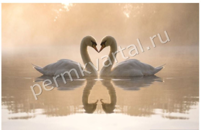 Фотообои бумажные Верность, 4 листа, 2000х1400 мм, (ДК)