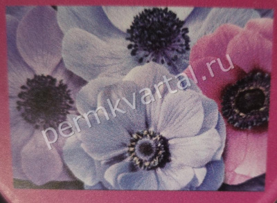 DECORETTO.Фотообои Анемоны 360х254 вин/флиз (ДК)