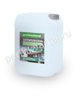 Пропитка PROFESSIONAL Антиплесень 5 л