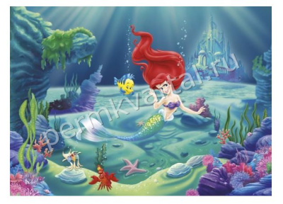 KOMAR.Фотообои Ариэль, 254х184см, 4-463, (ДК), (200)