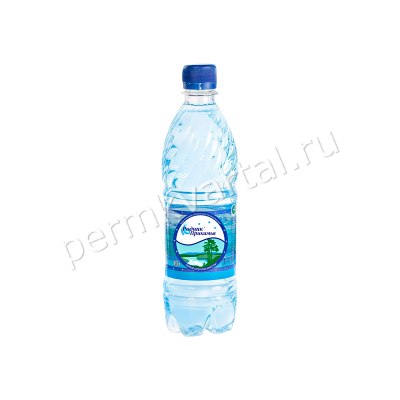 Вода Родник Прикамья НЕГАЗ 0,5л, (104), (ДК)