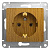 SCHNEIDER ELECTRIC.Розетка GLOSSA (1) дуб с/з GSL000543, (ЭИ)