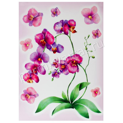DECORETTO.Картинки самокл. Акварельная орхидея, 350*500мм, (ДК)
