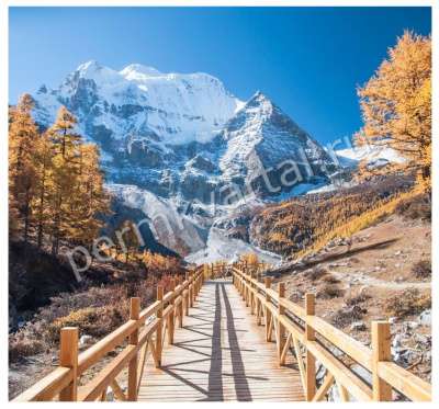 Фотообои бумажные Симфония Красочная осень, 6 листов, 2100х2000 мм, (ДК)