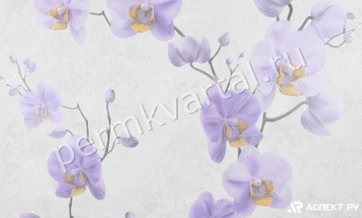 Обои флизелиновые АСПЕКТ Коллекция Стефания Декор 0,53*10,06м 10148-56, (ДК)