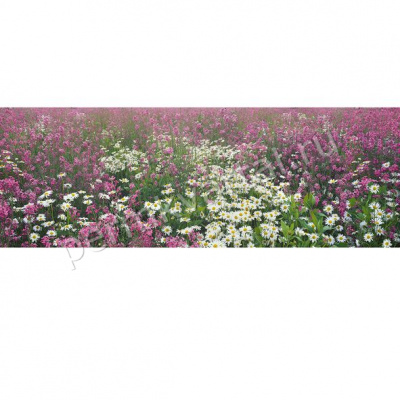 Фотообои бумажные НОВОСИБИРСК Поляна цветов ЛЮКС 388*136, (ДК), (200)