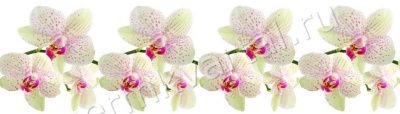 КОМФОРТ.Фартук ПВХ Ветка орхидеи, 3000х600х1,2мм, (Под заказ)