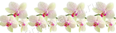 КОМФОРТ.Фартук ПВХ Ветка орхидеи, 3000х600х1,2мм, (Под заказ)