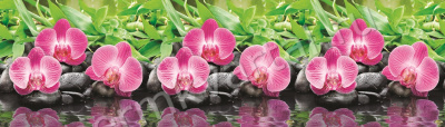 КОМФОРТ.Фартук ПВХ Орхидеи, 3000х600х1,2мм, (Под заказ)