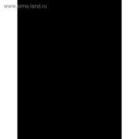 ПКФ БАСС.Пленка самоклеящаяся, черная, 0,45х8м